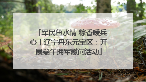 军民鱼水情 粽香暖兵心丨辽宁丹东元宝区：开展端午拥军慰问活动