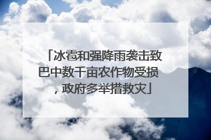 冰雹和强降雨袭击致巴中数千亩农作物受损，政府多举措救灾
