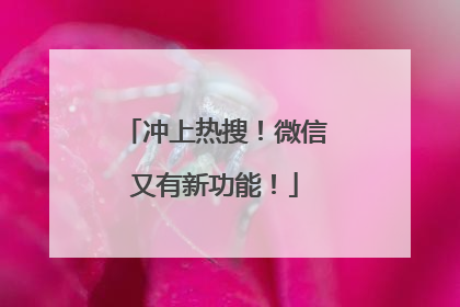冲上热搜！微信又有新功能！