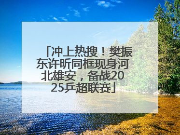 冲上热搜！樊振东许昕同框现身河北雄安，备战2025乒超联赛