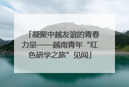 凝聚中越友谊的青春力量——越南青年“红色研学之旅”见闻