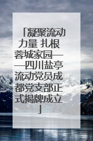 凝聚流动力量 扎根蓉城家园——四川盐亭流动党员成都党支部正式揭牌成立