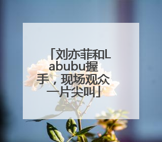 刘亦菲和Labubu握手，现场观众一片尖叫