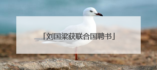 刘国梁获联合国聘书
