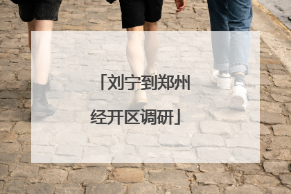 刘宁到郑州经开区调研
