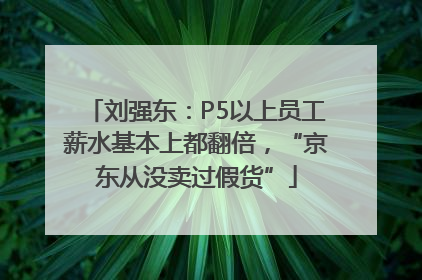 刘强东：P5以上员工薪水基本上都翻倍，“京东从没卖过假货”