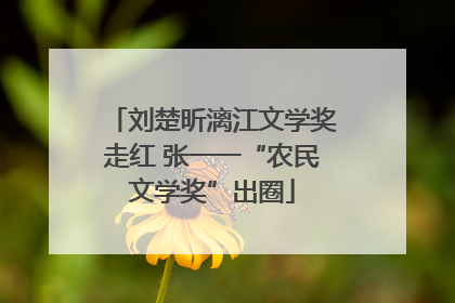 刘楚昕漓江文学奖走红 张一一“农民文学奖”出圈