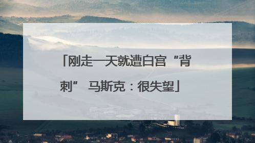 刚走一天就遭白宫“背刺” 马斯克：很失望