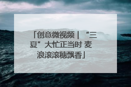创意微视频｜“三夏”大忙正当时 麦浪滚滚穗飘香