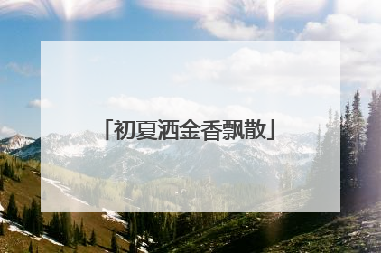 初夏洒金香飘散