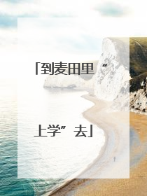 到麦田里“上学”去