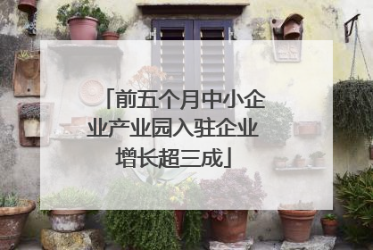 前五个月中小企业产业园入驻企业增长超三成