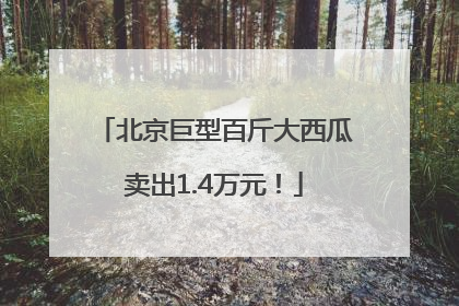北京巨型百斤大西瓜卖出1.4万元！