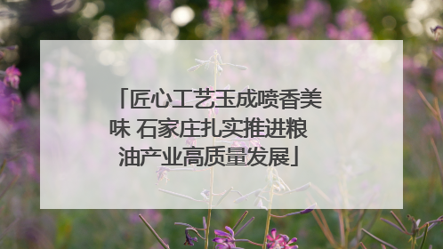 匠心工艺玉成喷香美味 石家庄扎实推进粮油产业高质量发展