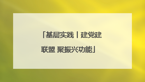 基层实践丨建党建联盟 聚振兴功能