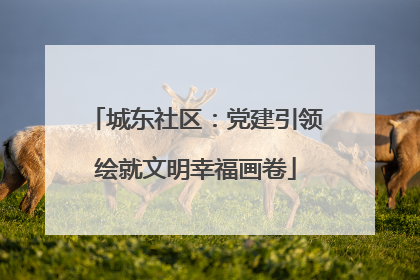 城东社区：党建引领绘就文明幸福画卷
