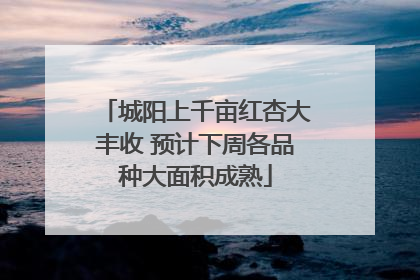 城阳上千亩红杏大丰收 预计下周各品种大面积成熟