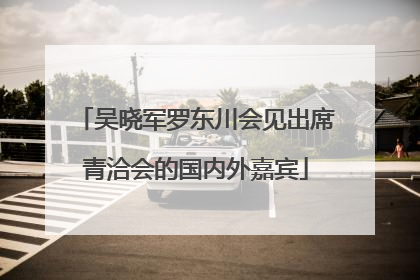 吴晓军罗东川会见出席青洽会的国内外嘉宾