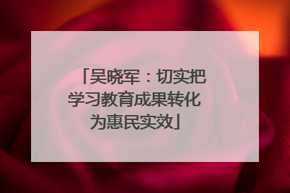 吴晓军：切实把学习教育成果转化为惠民实效