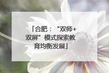 合肥：“双师+双屏”模式探索教育均衡发展