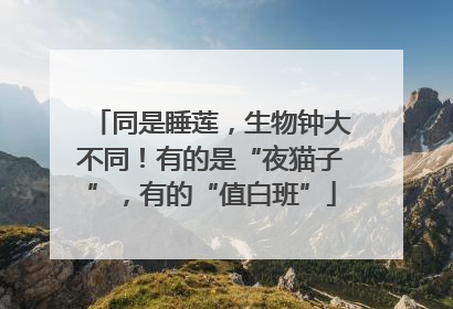 同是睡莲，生物钟大不同！有的是“夜猫子”，有的“值白班”