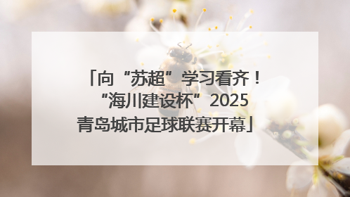向“苏超”学习看齐！“海川建设杯”2025青岛城市足球联赛开幕