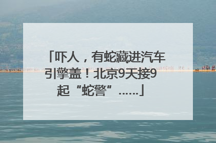 吓人，有蛇藏进汽车引擎盖！北京9天接9起“蛇警”……