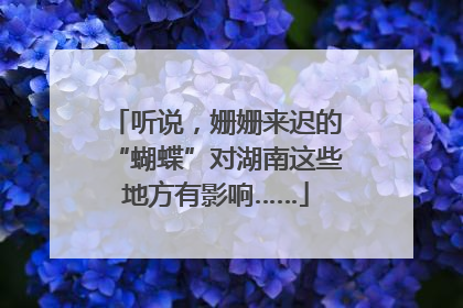 听说，姗姗来迟的“蝴蝶”对湖南这些地方有影响……