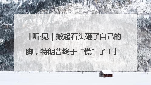 听·见｜搬起石头砸了自己的脚，特朗普终于“慌”了！