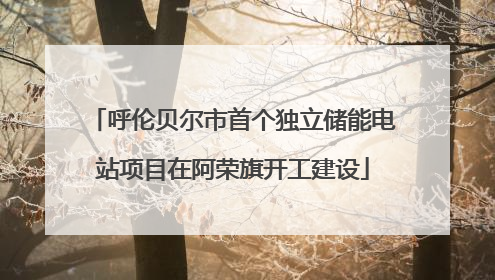 呼伦贝尔市首个独立储能电站项目在阿荣旗开工建设