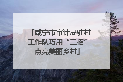 咸宁市审计局驻村工作队巧用“三招”点亮美丽乡村