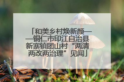 和美乡村焕新颜——铜仁市印江自治县新寨镇团山村“两清两改两治理”见闻