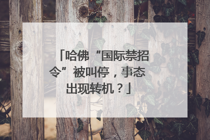 哈佛“国际禁招令”被叫停，事态出现转机？