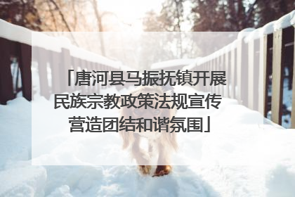 唐河县马振抚镇开展民族宗教政策法规宣传 营造团结和谐氛围