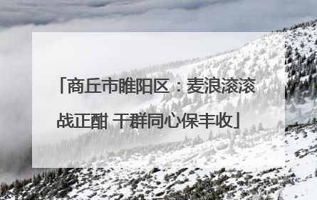 商丘市睢阳区：麦浪滚滚战正酣 干群同心保丰收