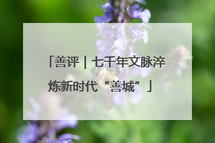 善评｜七千年文脉淬炼新时代“善城”