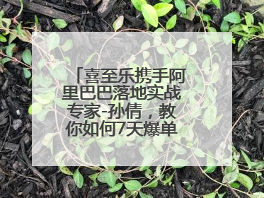 喜至乐携手阿里巴巴落地实战专家-孙倩，教你如何7天爆单逆袭跨境电商