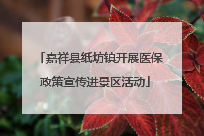 嘉祥县纸坊镇开展医保政策宣传进景区活动