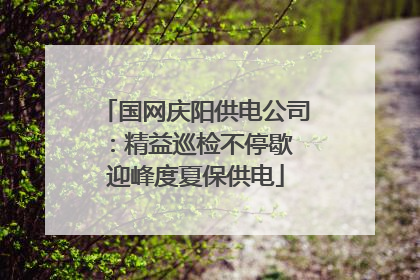 国网庆阳供电公司：精益巡检不停歇 迎峰度夏保供电