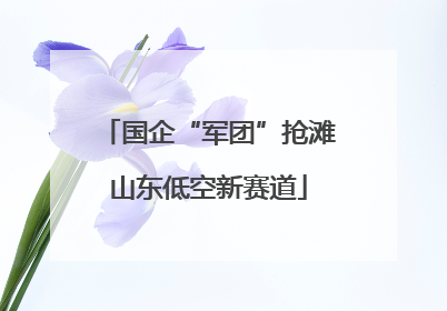国企“军团”抢滩山东低空新赛道