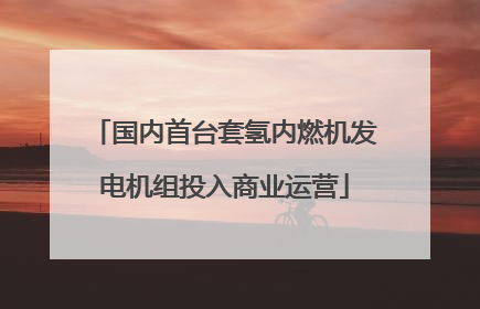 国内首台套氢内燃机发电机组投入商业运营