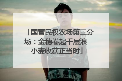 国营民权农场第三分场：金穗卷起千层浪 小麦收获正当时
