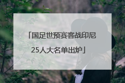 国足世预赛客战印尼25人大名单出炉