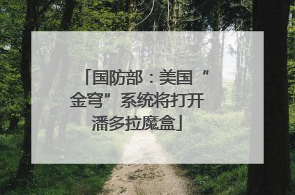 国防部：美国“金穹”系统将打开潘多拉魔盒