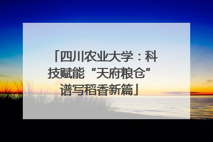 四川农业大学：科技赋能“天府粮仓”谱写稻香新篇