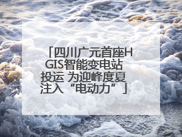 四川广元首座HGIS智能变电站投运 为迎峰度夏注入“电动力”