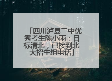 四川泸县二中优秀考生陈小雨：目标清北，已接到北大招生组电话