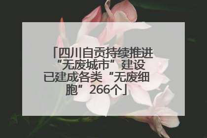 四川自贡持续推进“无废城市”建设 已建成各类“无废细胞”266个