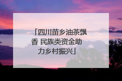 四川苗乡油茶飘香 民族类资金助力乡村振兴