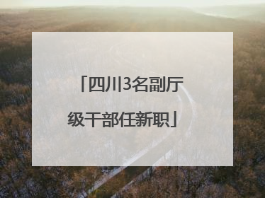 四川3名副厅级干部任新职
